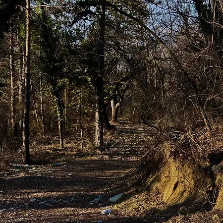 Hotes Avec Vue Panoramique Sur La Foret 3*