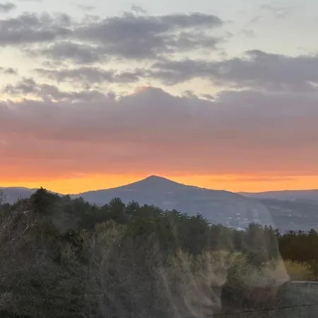 Hotes Avec Vue Panoramique Sur La Foret *