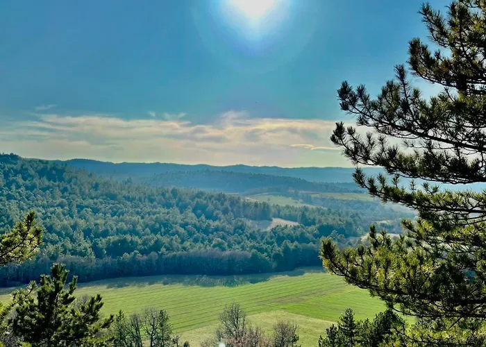 Hotes Avec Vue Panoramique Sur La Foret 3* 디뉴레뱅